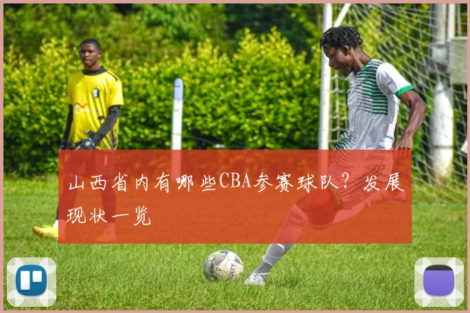山西省内有哪些CBA参赛球队？发展现状一览
