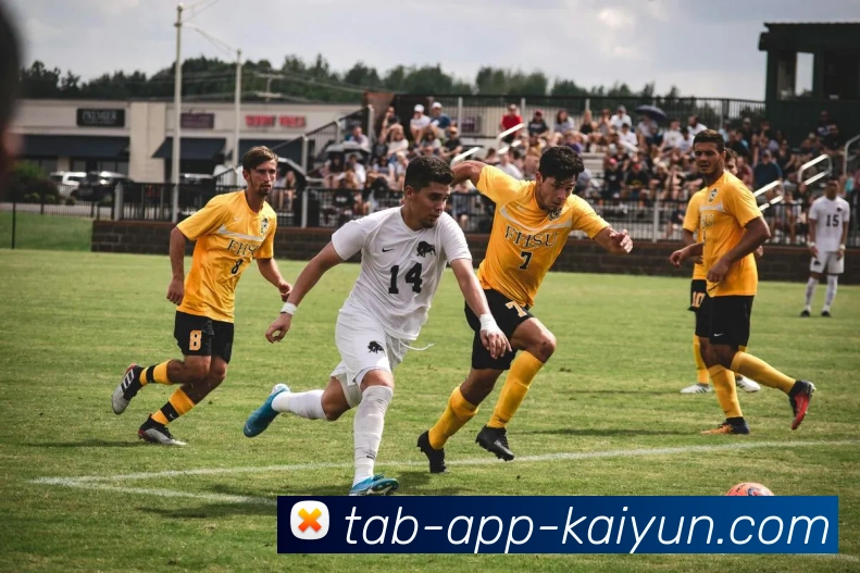 开云app平台生态图